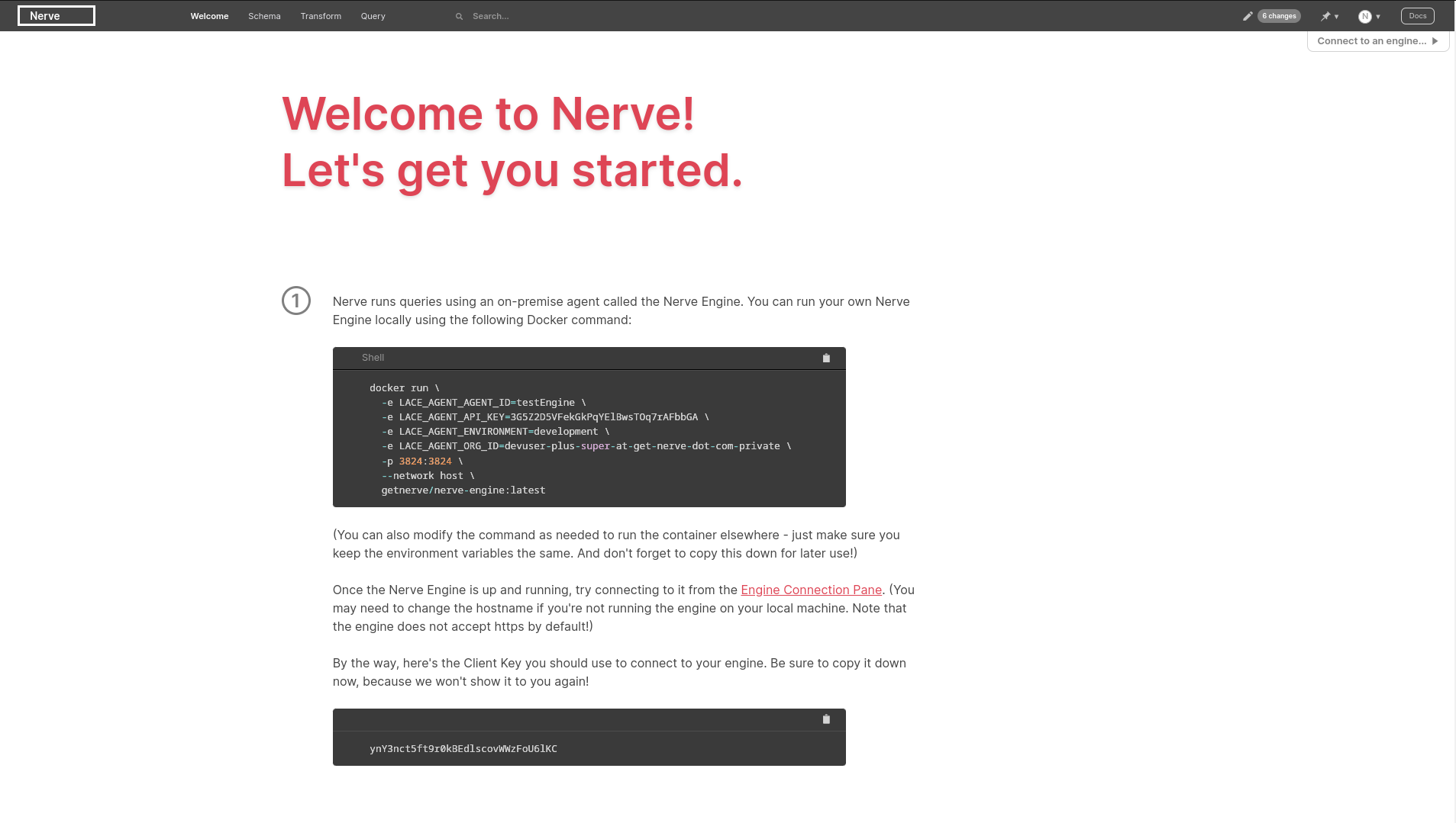 A screenshot of the Nerve application